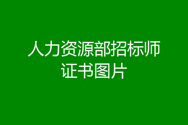 人力资源部招标师证书图片
