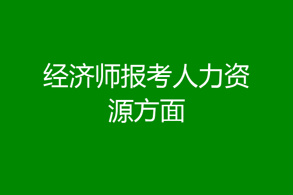经济师报考人力资源方面