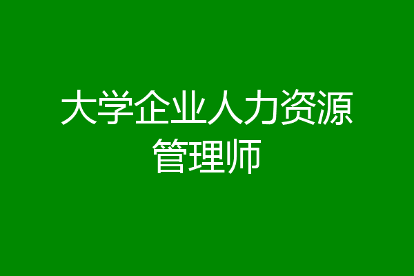 大学企业人力资源管理师