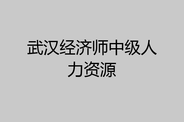 武汉经济师中级人力资源