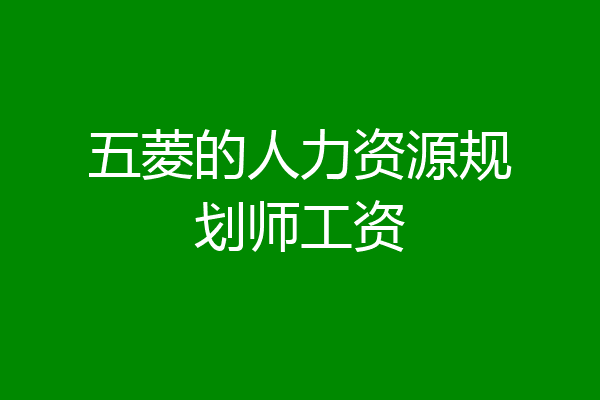 五菱的人力资源规划师工资