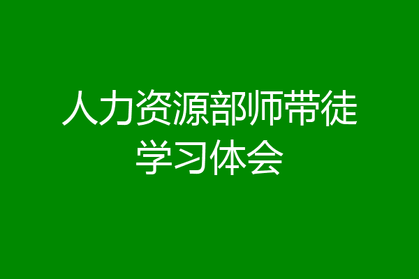 人力资源部师带徒学习体会