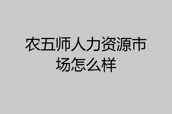 农五师人力资源市场怎么样