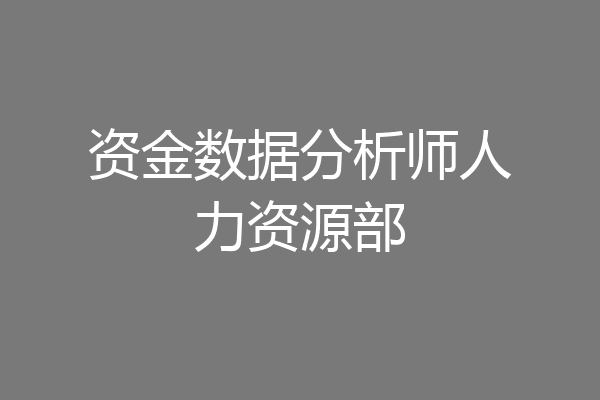 资金数据分析师人力资源部