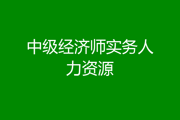 中级经济师实务人力资源