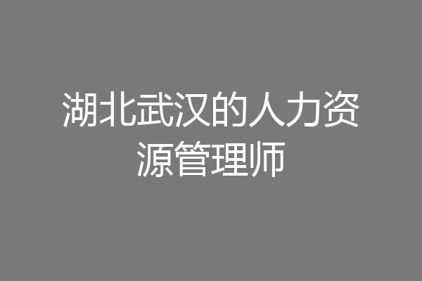 湖北武汉的人力资源管理师