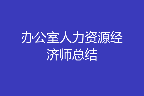 办公室人力资源经济师总结