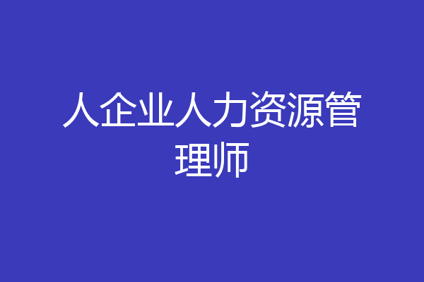 人企业人力资源管理师
