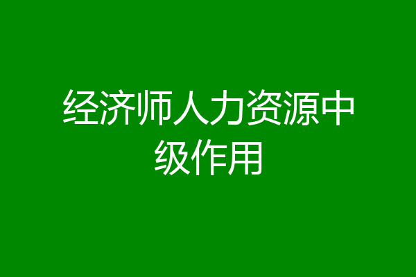 经济师人力资源中级作用