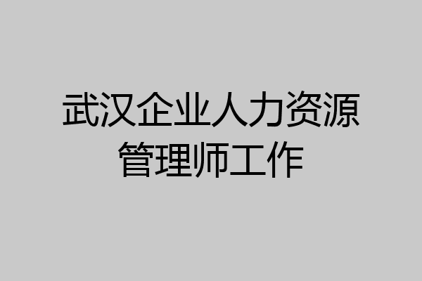 武汉企业人力资源管理师工作
