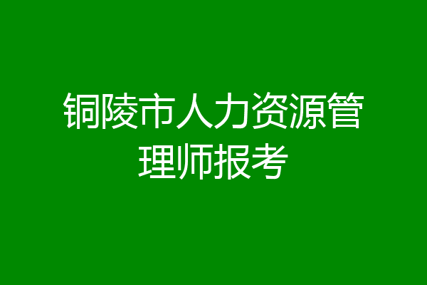 铜陵市人力资源管理师报考