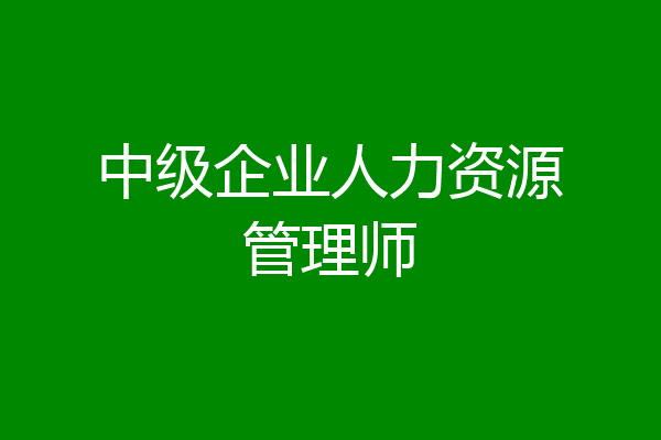 中级企业人力资源管理师