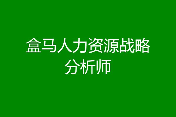 盒马人力资源战略分析师