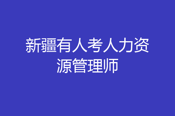 新疆有人考人力资源管理师