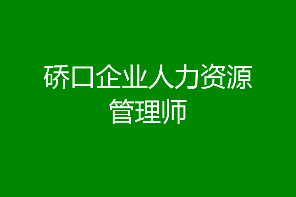 硚口企业人力资源管理师