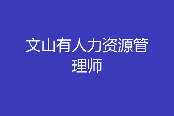 文山有人力资源管理师