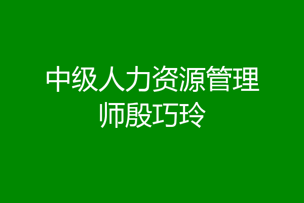 中级人力资源管理师殷巧玲