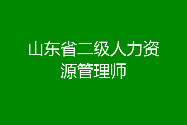 山东省二级人力资源管理师