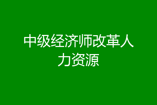 中级经济师改革人力资源