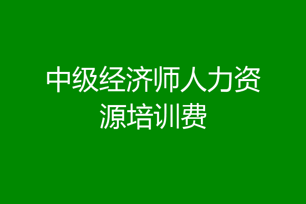 中级经济师人力资源培训费