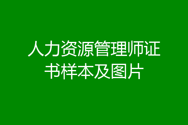人力资源管理师证书样本及图片