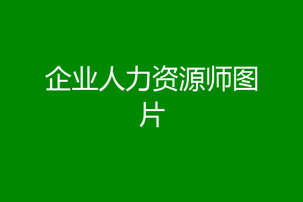 企业人力资源师图片