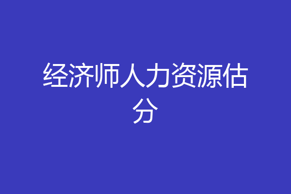 经济师人力资源估分