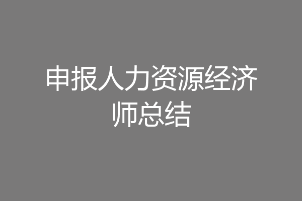 申报人力资源经济师总结