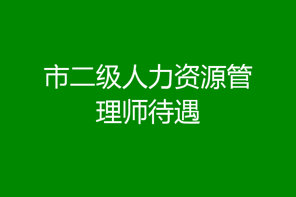 市二级人力资源管理师待遇