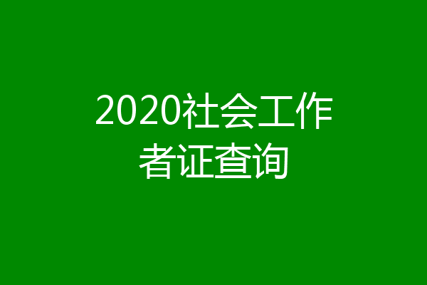 2020社会工作者证查询