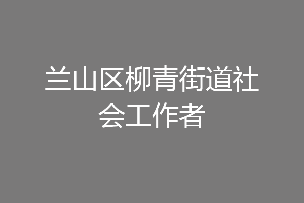 兰山区柳青街道社会工作者