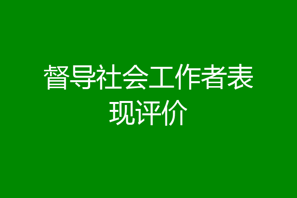 督导社会工作者表现评价