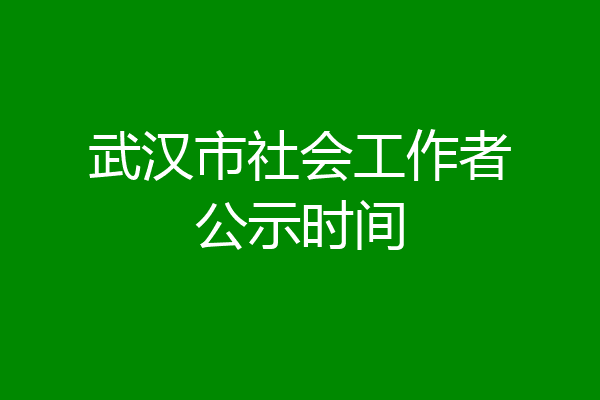 武汉市社会工作者公示时间