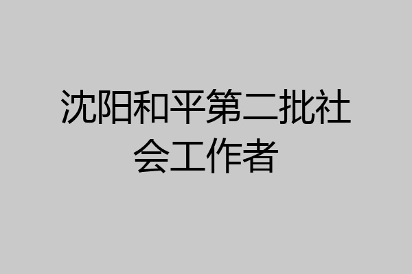 沈阳和平第二批社会工作者