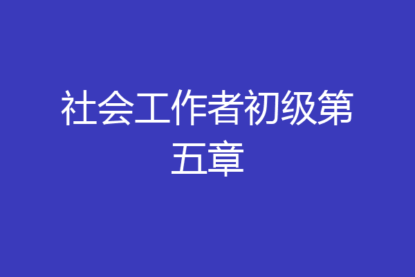 社会工作者初级第五章