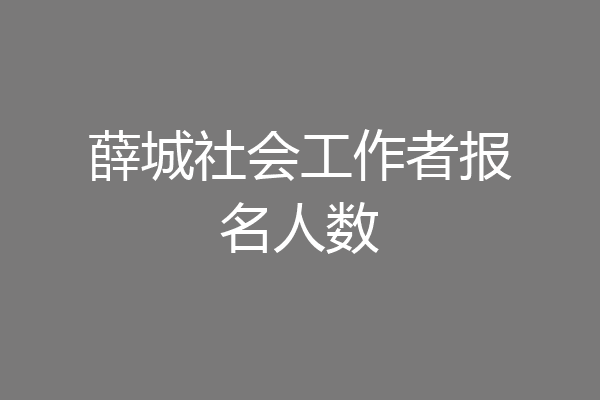 薛城社会工作者报名人数