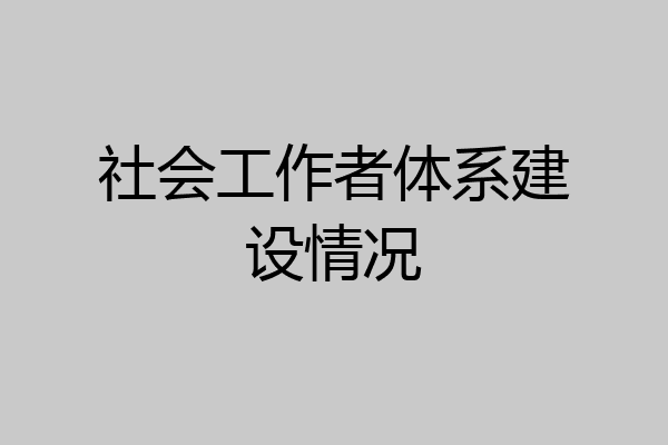 社会工作者体系建设情况