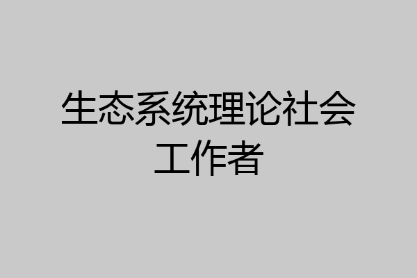 生态系统理论社会工作者