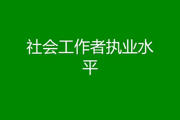 社会工作者执业水平