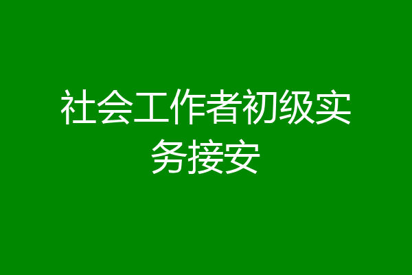 社会工作者初级实务接安