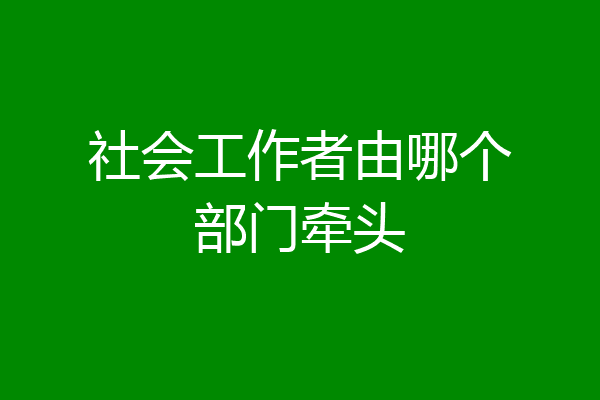 社会工作者由哪个部门牵头