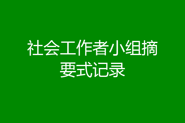 社会工作者小组摘要式记录