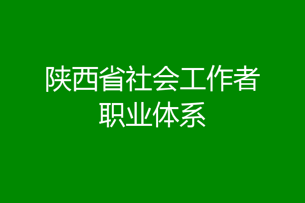 陕西省社会工作者职业体系