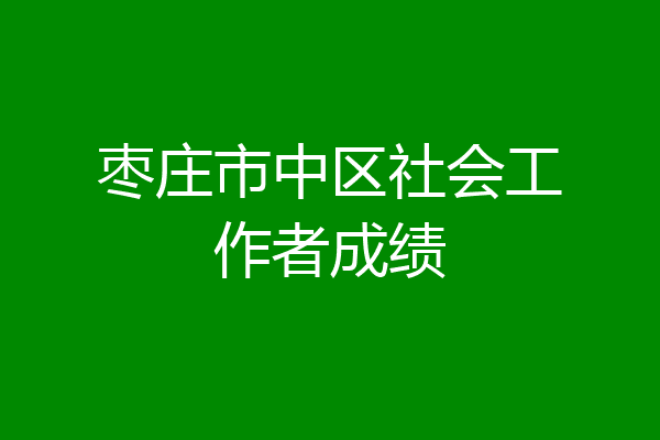 枣庄市中区社会工作者成绩