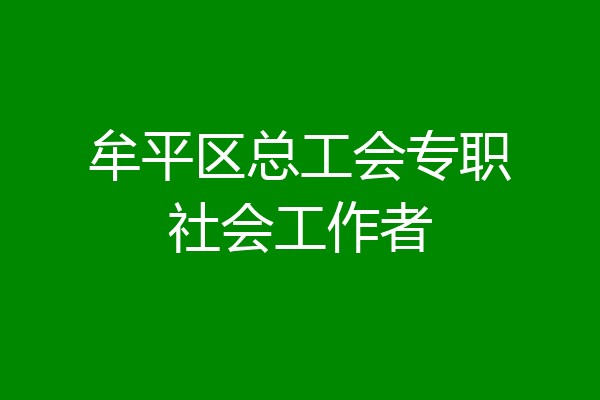 牟平区总工会专职社会工作者