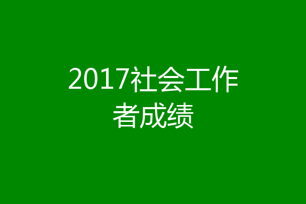 2017社会工作者成绩