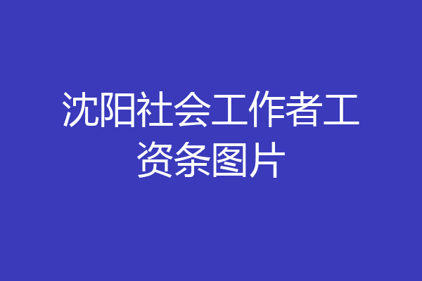 沈阳社会工作者工资条图片