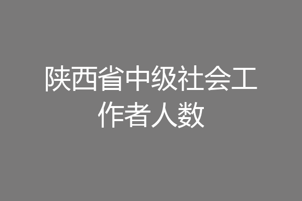 陕西省中级社会工作者人数
