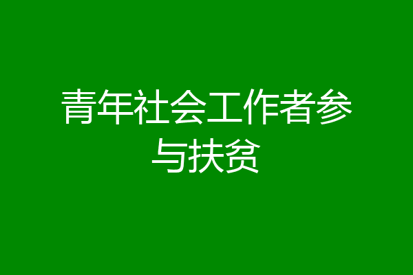 青年社会工作者参与扶贫