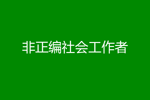 非正编社会工作者